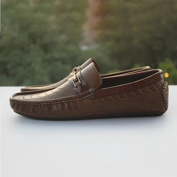 Casual men  brown Loafer