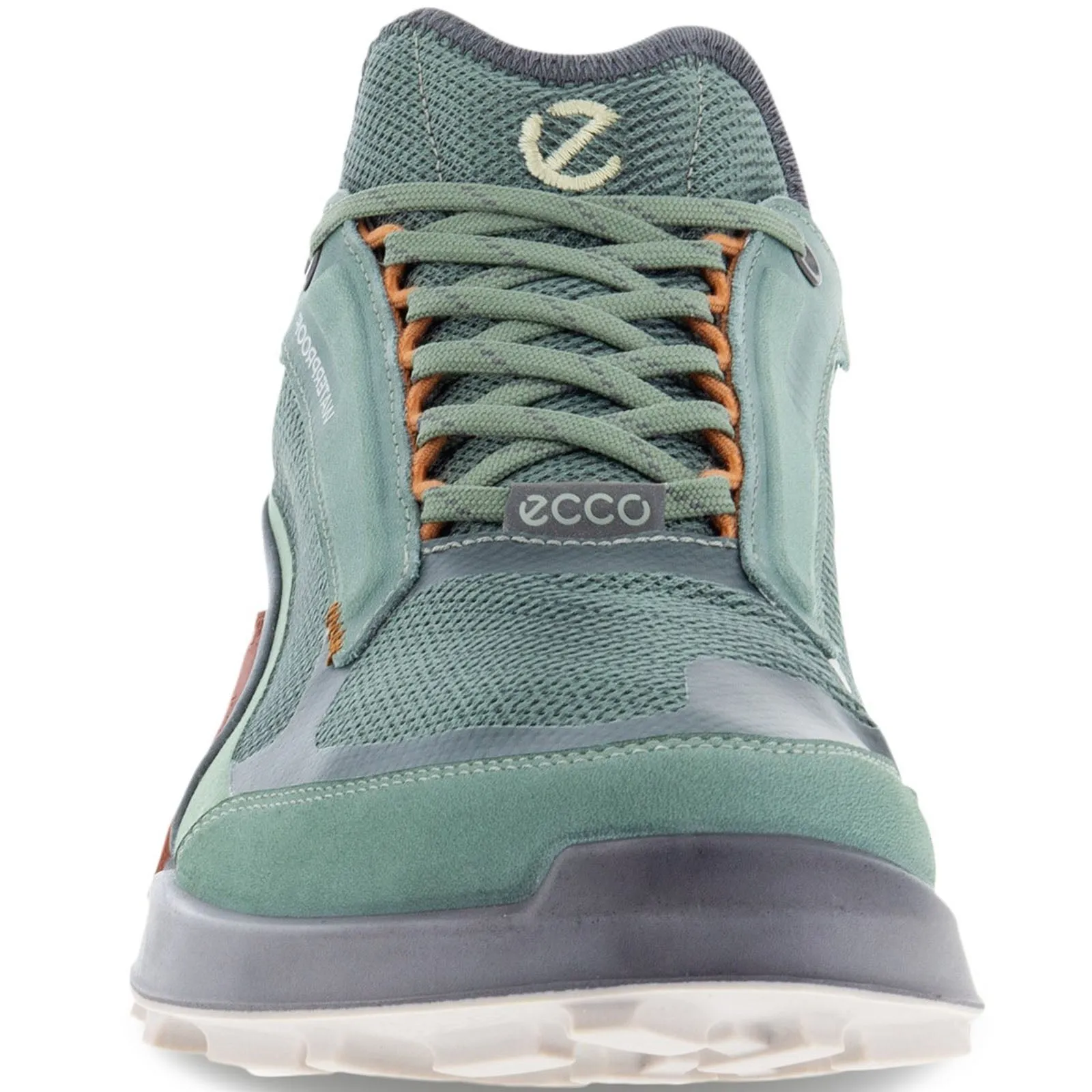 ECCO Mens Biom 2.1 X Mountain Waterproof Hiking Trainers