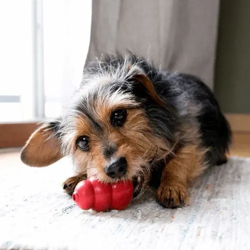 KONG Classic Dog Toy Red Medium