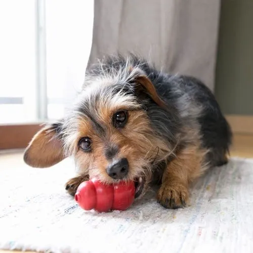 KONG Classic Dog Toy Red Small